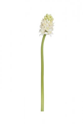 Hyacint 29 cm, vit - Lene Bjerre