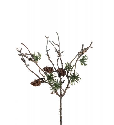 larch twig-cut flower-with-cones-height-25cm-brown-green