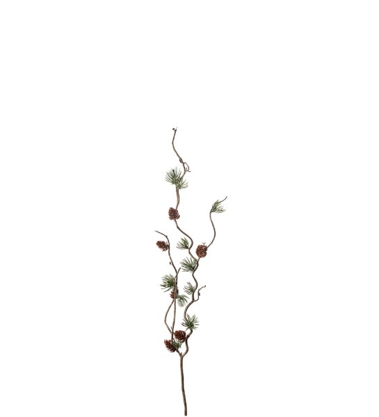 Larch twig with cones, H60 cm, Green & Brown