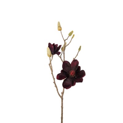 magnolia-vinröd-70cm