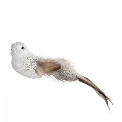 bird-vencke-white