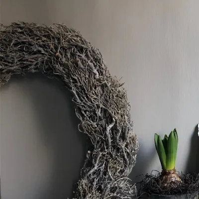 kalkfärgen-papyrus-målad-på-vägg