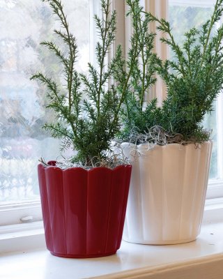Kruka Edna Röd 2-pack - Wikholm Form