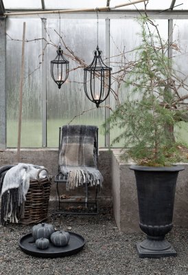 Venice svart metallstol i lantligt växthus om hösten